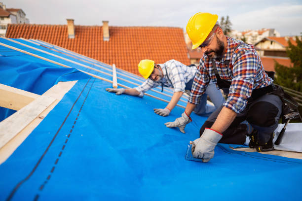 Professional Roofing Contractor in Livingston, LA